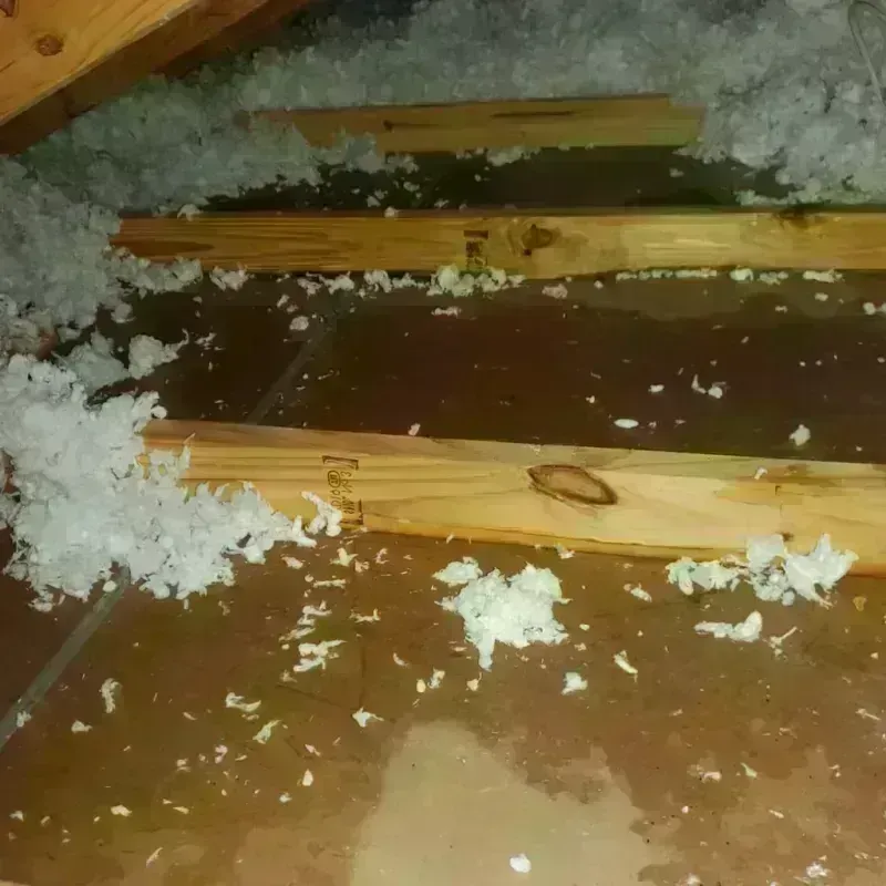 Attic Water Damage in Franklin County, KS