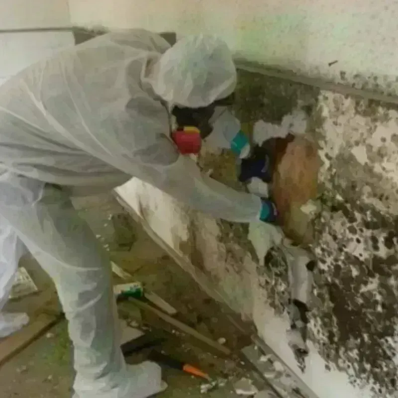 Mold Remediation and Removal in Franklin County, KS